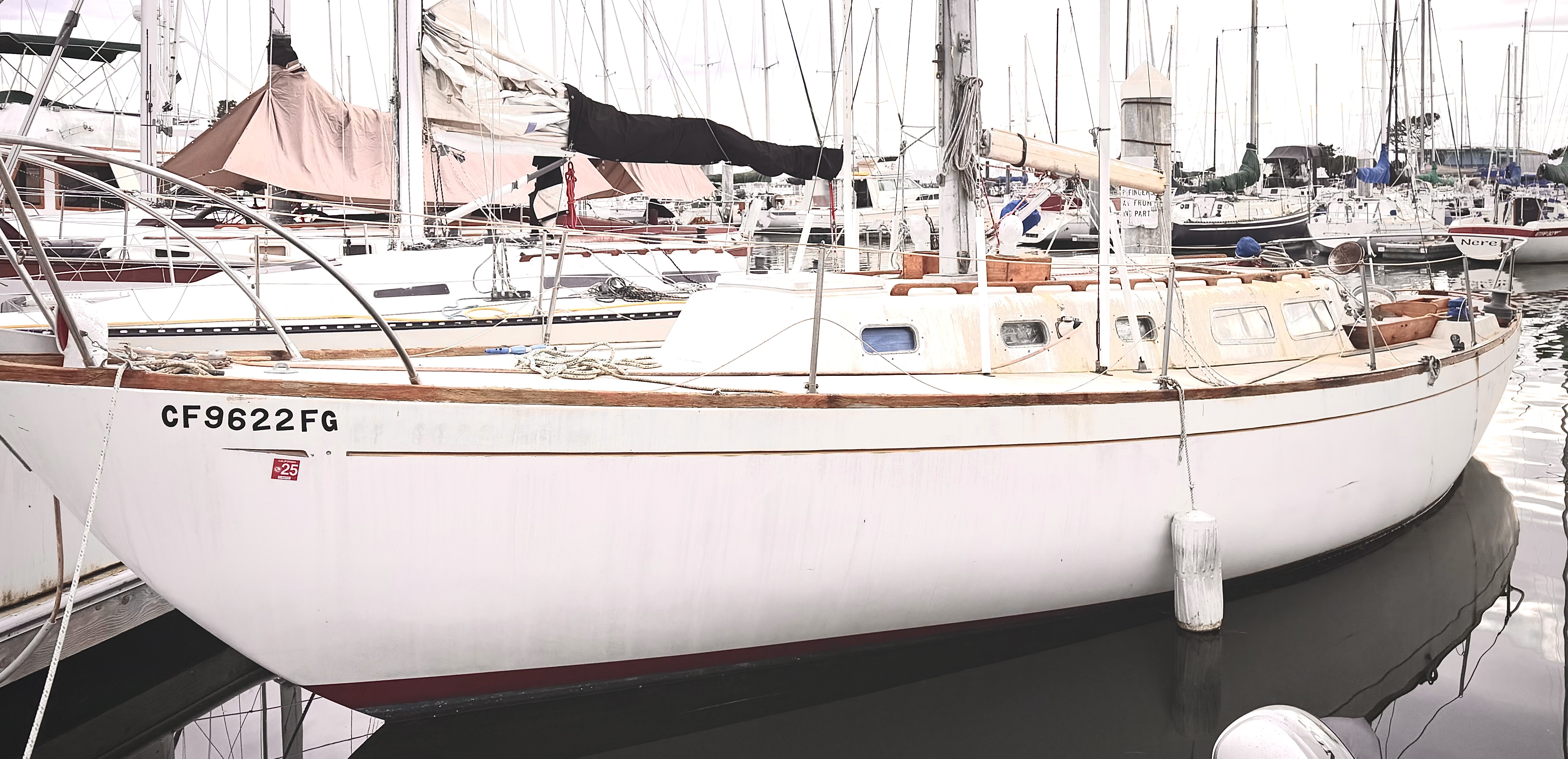 Cal  36 1971