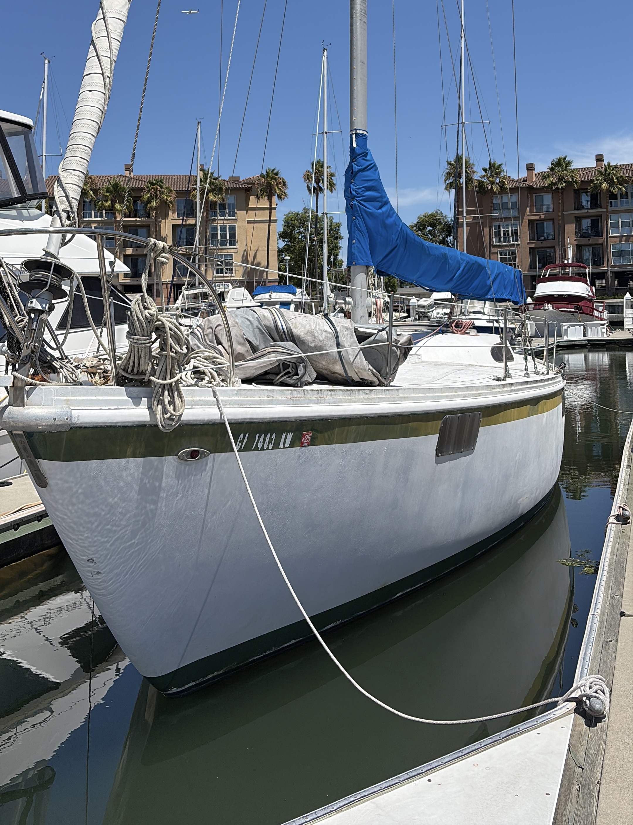 COLUMBIA   43'